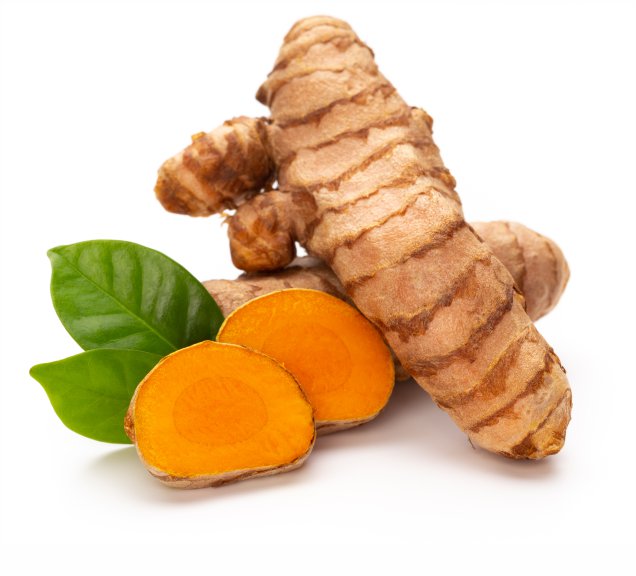 Curcuma longa