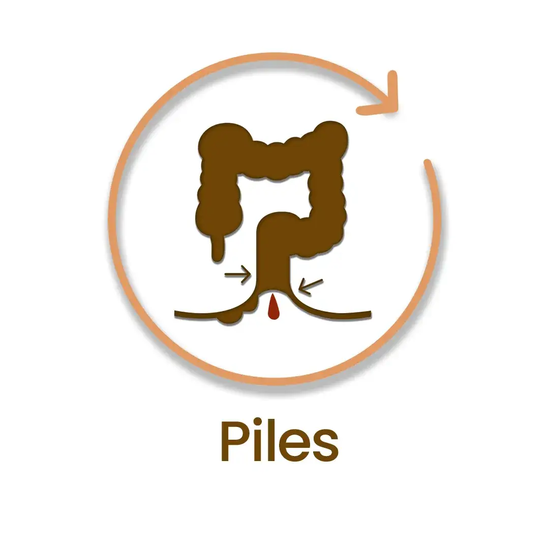 piles illustrator